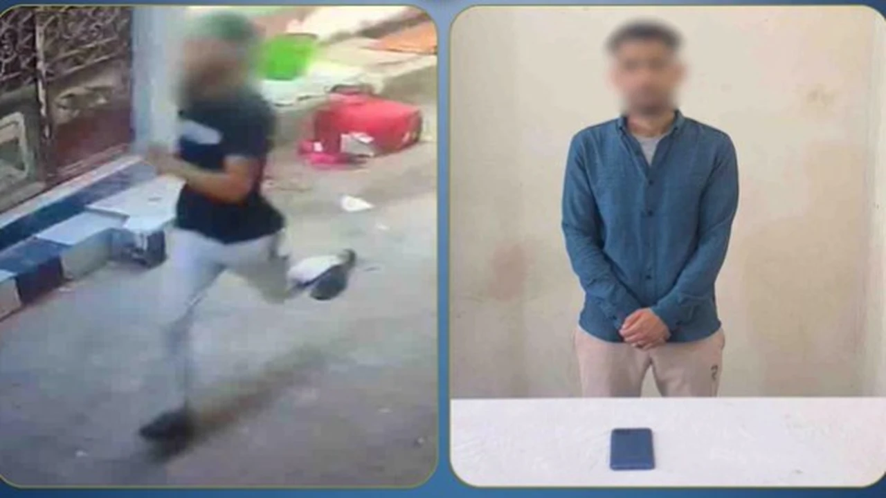ضبط متهم بخطف هاتف سيدة في كفر الدوار واستعادة المسروقات